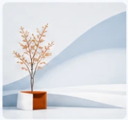 فضای معماری مینیمال با درخت نارنجی